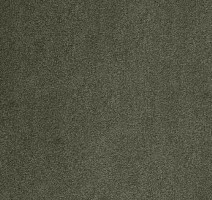 Ковролин AW Masquerade Kai 29 фото 1 | FLOORDEALER